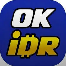 OKIDR - Aplikasi Chat Encrypted Terpercaya untuk Privasi Anda